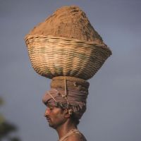 全球沙荒：20年貿(mào)易額增長六倍 中國占亞洲一半，一場全球資源危機(jī)！正在愈演愈烈！