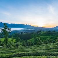 500萬(wàn)噸/年！湖北儲(chǔ)量約1.12億噸建筑用花崗巖礦擬掛牌出讓