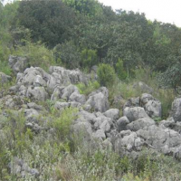 該地儲(chǔ)量2億噸大型砂石礦即將出讓