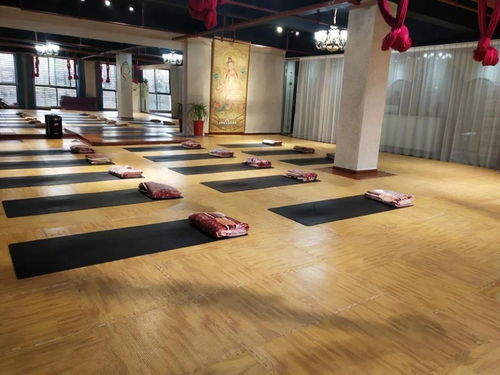 暖豐石墨烯電熱膜地暖 瑜伽館、養生館與健身房的應用優勢及研發進展